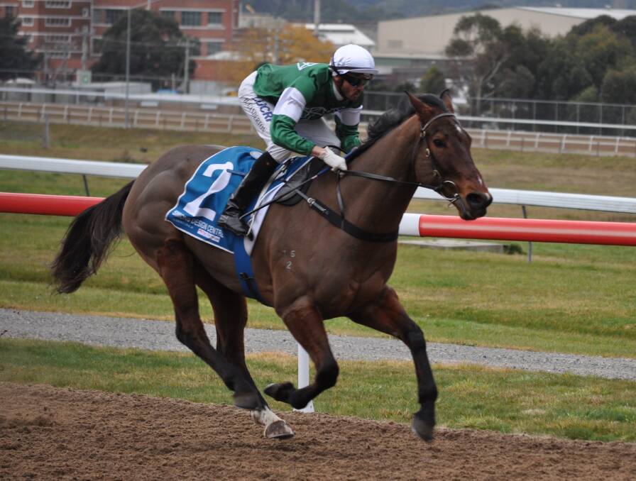 LONG ROAD: Former Sydney gelding Duperrey makes a winning debut at Spreyton on Sunday - two years after he first trialled. Picture: Greg Mansfield