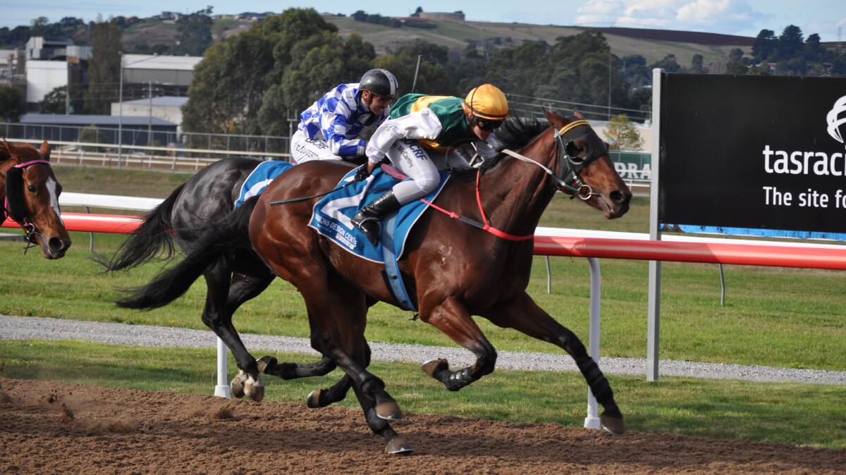 ENTRY: The Financier, ridden by Hayley McCarthy, wins at Spreyton on Sunday. He has been entered for this week's 3YO Classic at Mowbray.