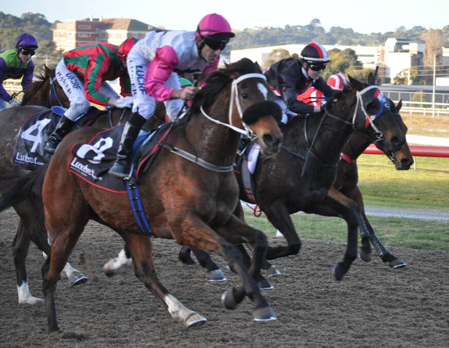 MAKING KILLING: Killin Falls, pictured winning at Spreyton in July, is one of in-form trainer Glenn Stevenson's two chances in the $100,000 Conquering Stakes at Mowbray on Wednesday night. Picture: Greg Mansfield