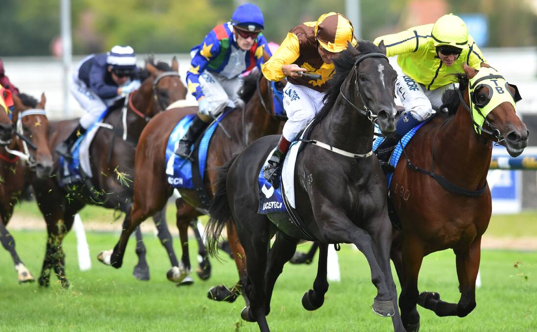 ON PARADE: New Armidale stallion Alpine Eagle, ridden by Damien Oliver, wins the group 2 Autumn Classic at Caulfield. Picture: Getty Images
