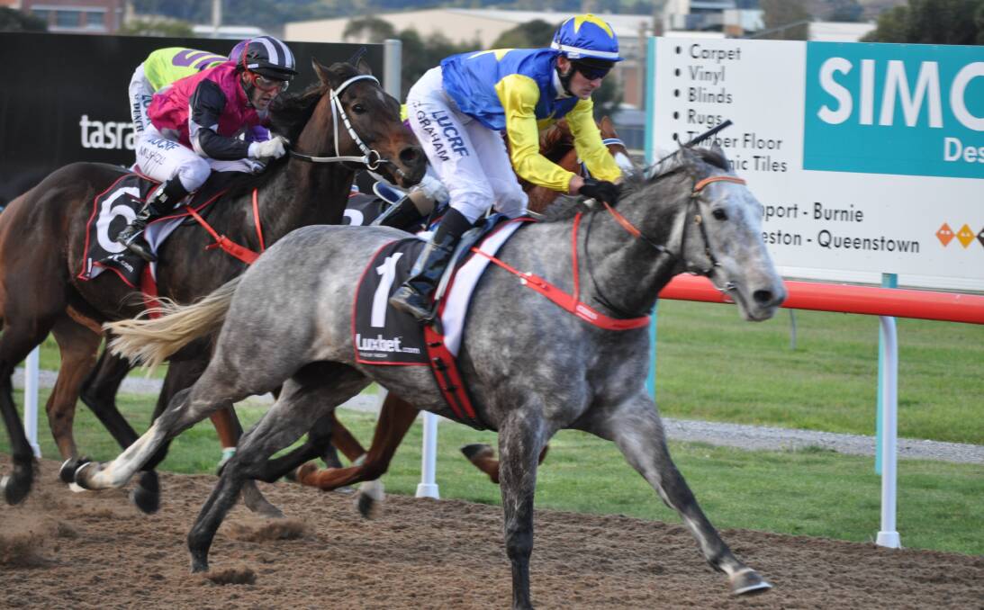 GREY POWER: Steel Moon, ridden by Chris Graham, wins at Spreyton on Sunday. He is entered for the $30,000 Autumn Classic at Mowbray this week. Picture: Greg Mansfield