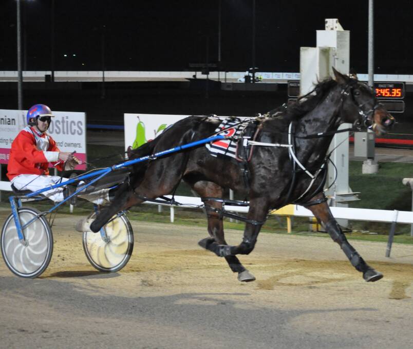 FAVOURITE: Harjeet, pictured with trainer-driver Todd Rattray, is early favourite for the $75,000 Easter Cup at Mowbray on Saturday week. Picture: Greg Mansfield