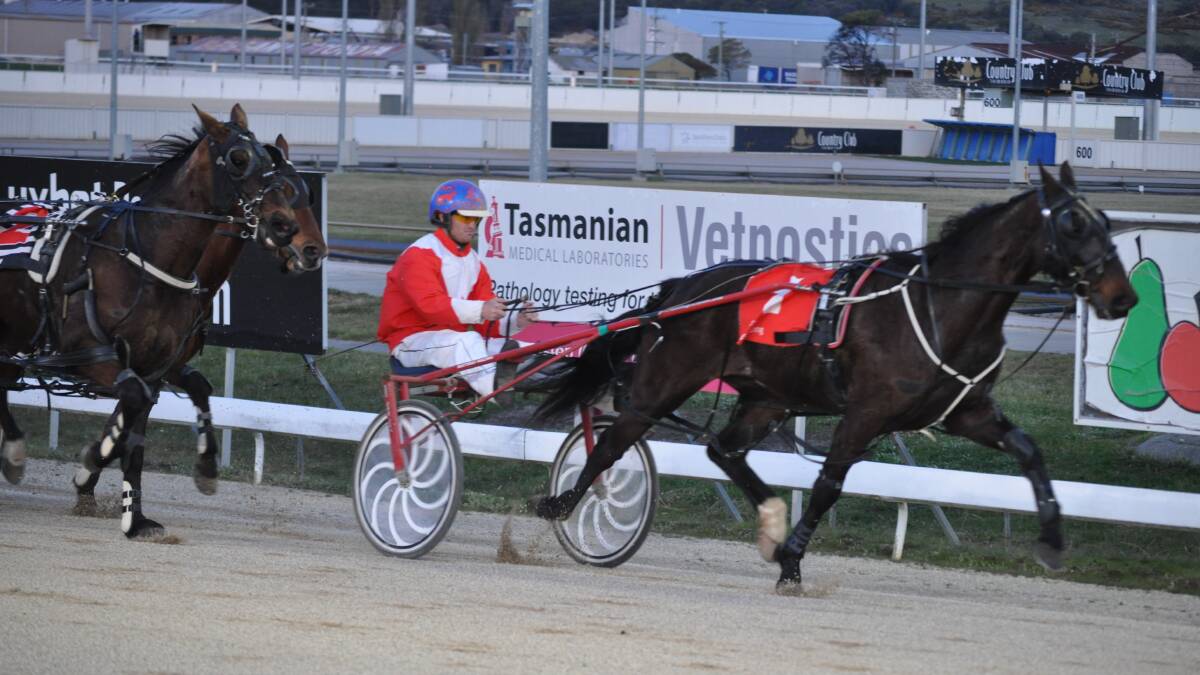PREMIERSHIP BID: God Sake, a winner at the past two Mowbray meetings, will be one of Todd Rattray's eight drives on Sunday night.