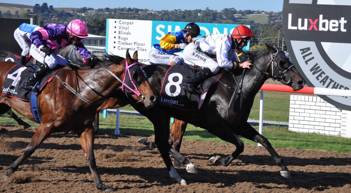 EASTER WINNER: Gemini, ridden by Nathan Punch, wins at Spreyton on Easter Monday. There are no plans to move the meeting to Good Friday. Picture: Greg Mansfield