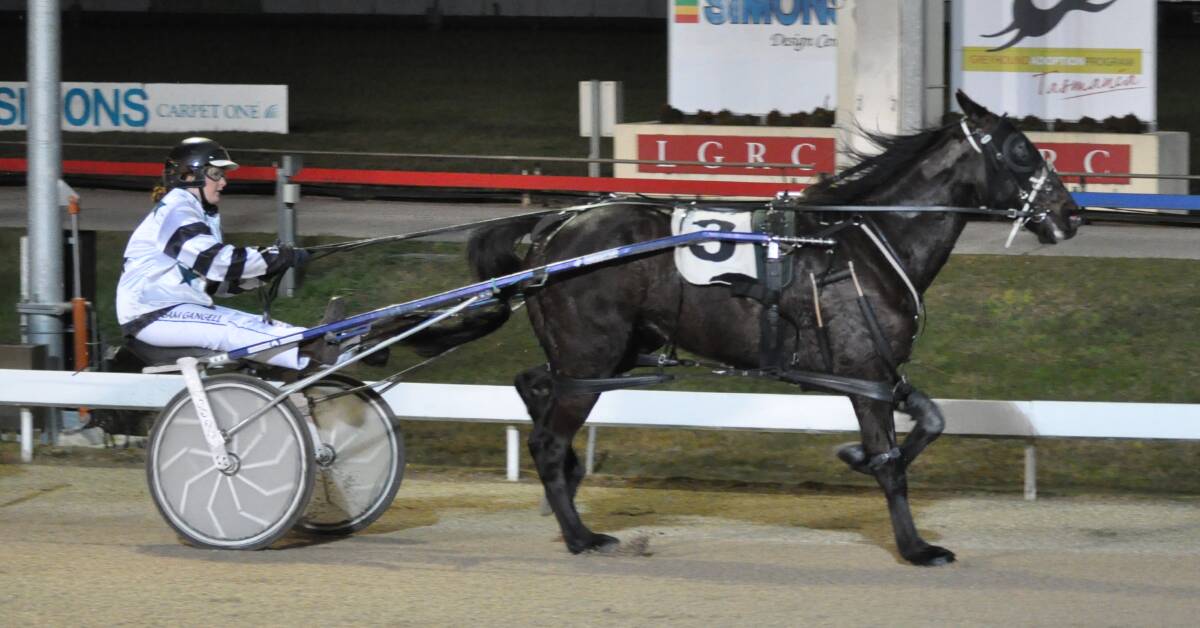 WIN No.111: Lord Stark, driven by Samantha Gangell, wins the race for novice drivers at Mowbray on Sunday night. It was trainer Ben Yole's 111th win for the season. Picture: Greg Mansfield