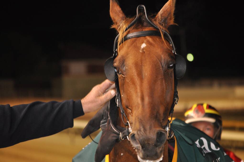 Smart pacer Chief Destroyer resumes from a spell at Burnie on Friday night.