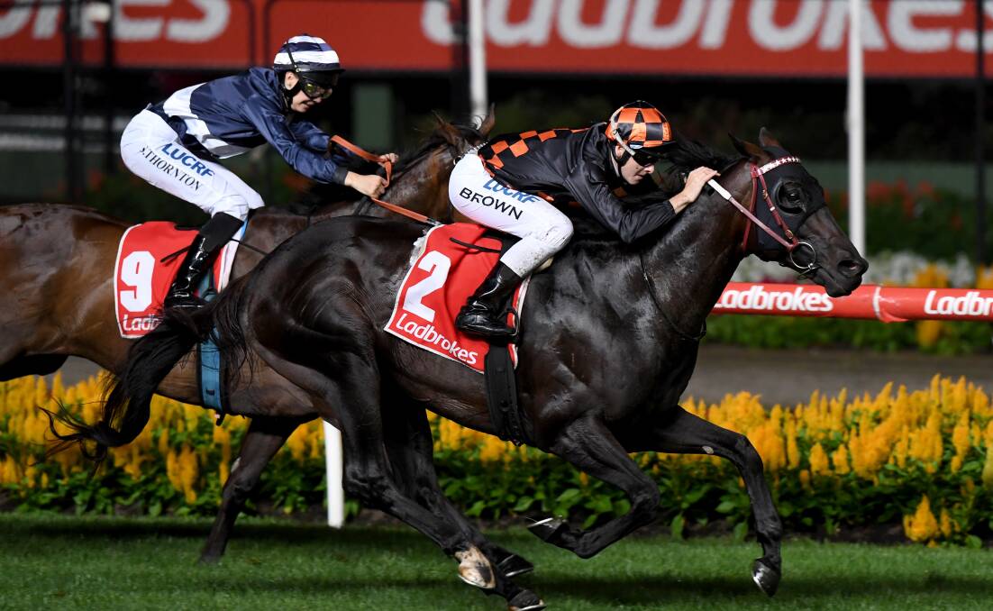 CUP BOUND: Former Victoria Derby runner-up Bondeiger, one of two Darren Weir-trained entries for the Launceston Cup, wins at Moonee Valley last month with Ethan Brown in the saddle. Picture: AAP