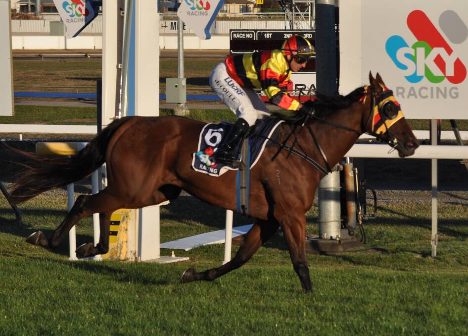 HAPPY HORSE: Former "psycho" Sentimental Dream, ridden by Brendon McCoull, wins his second race in a row at Mowbray on Wednesday night. Picture: Greg Mansfield