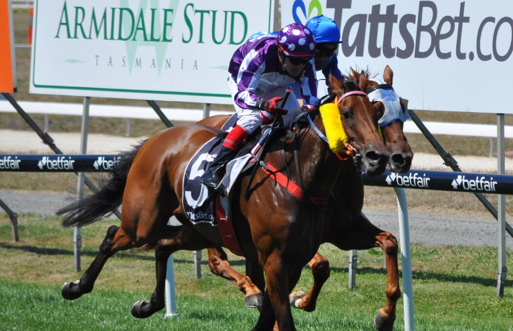 BACKED AT ODDS: Local hope Settler's Stone has firmed from $51 to $31 in early betting on Sunday's Hobart Cup. Picture: Greg Mansfield