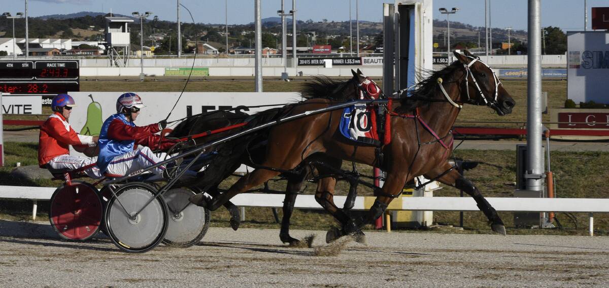 TWO IN ROW: Sea Double Ugrant, driven by Mark Yole, brings up his second successive win at Mowbray on Sunday night. Picture: Stacey Lear