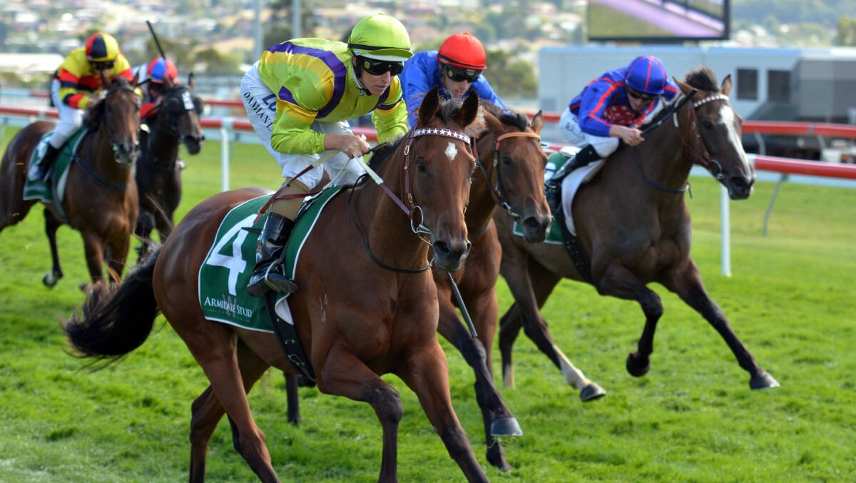 CHASING DOUBLE: Pleasuring, ridden by Damian Lane, wins the Strutt Stakes at Elwick nine days ago. The Darren Weir-trained filly has been nominated for Sunday's Tasmanian Oaks at Mowbray.