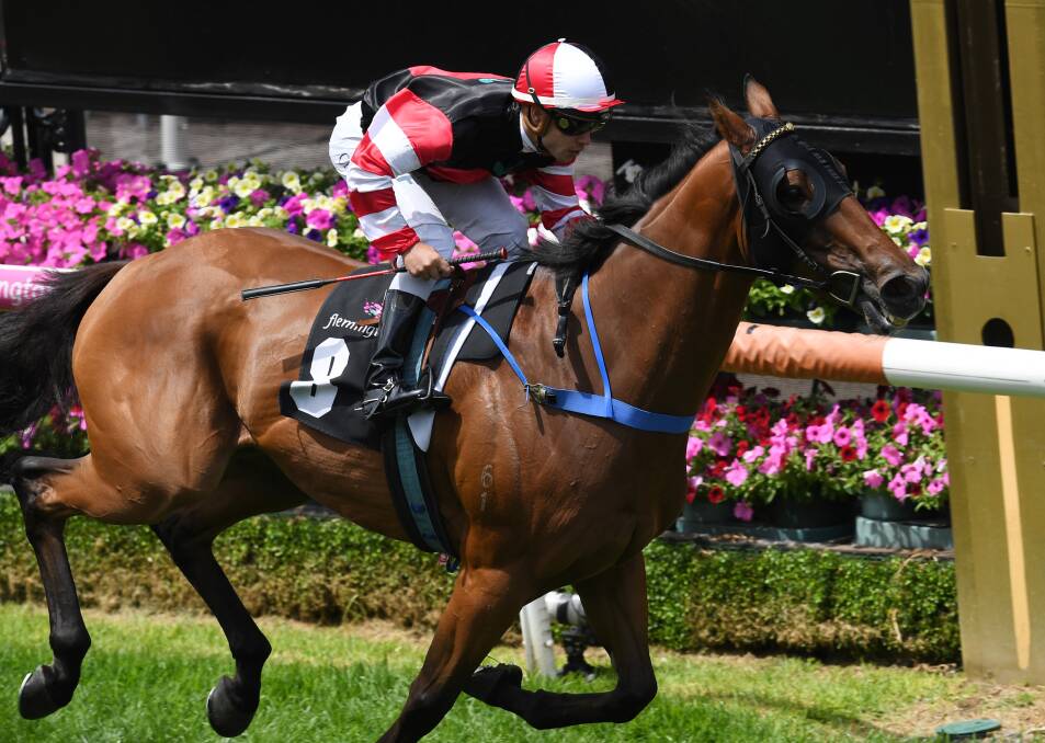 CUP HOPE: The Mighty Jrod, ridden by Chris Caserta, wins at Flemington on Saturday. The Robbie Laing-trained stayer is one of the early entries for next week's Launceston Cup. Picture: AAP