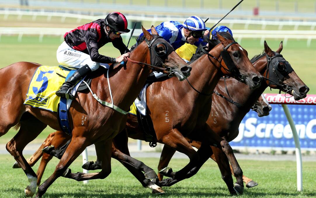 SEEKING GOLD: Victorian filly Melveen (outside), ridden by Damien Thornton, wins at Sandown a fortnight ago. She will contest Wednesday's Gold Sovereign Stakes at Mowbray. Picture: AAP