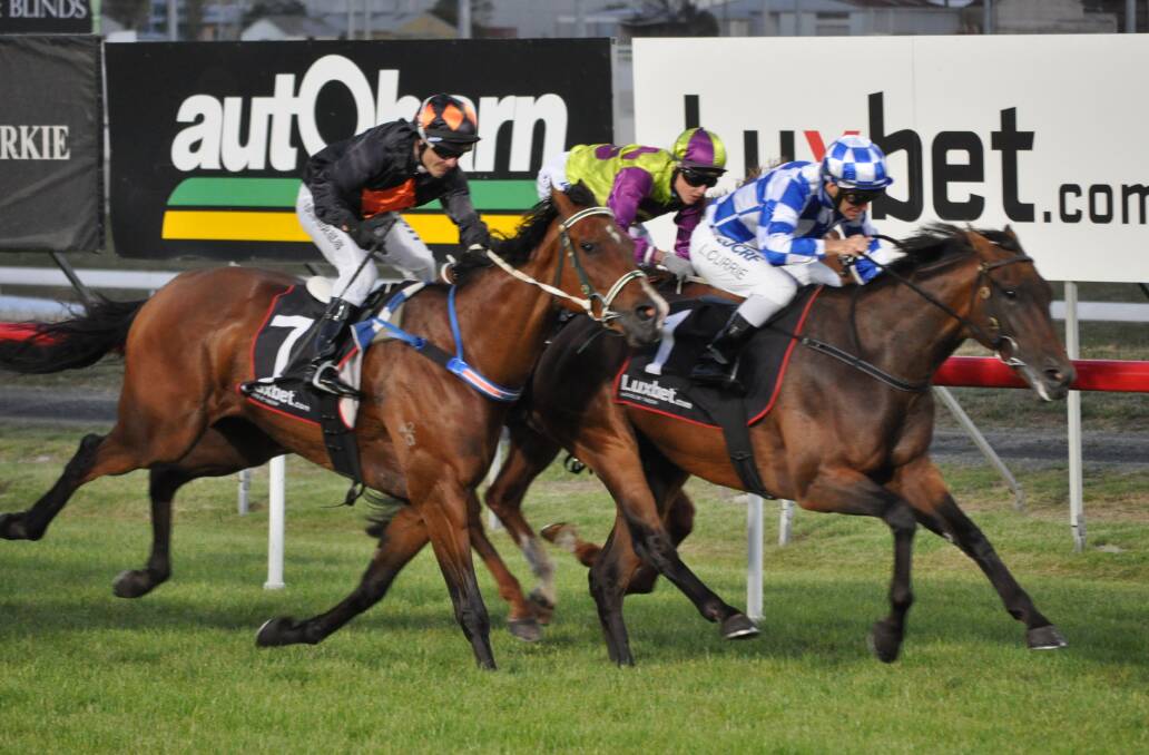 TOP RIDES: Luke Currie wins on Admiral at Mowbray earlier in the year. The former Launceston jockey will return from Victoria to ride in the two feature races at Mowbray on Wednesday night. Picture: Greg Mansfield