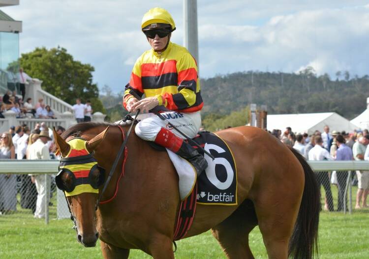 Genuine Lad and Craig Williams after their Launceston Cup win.