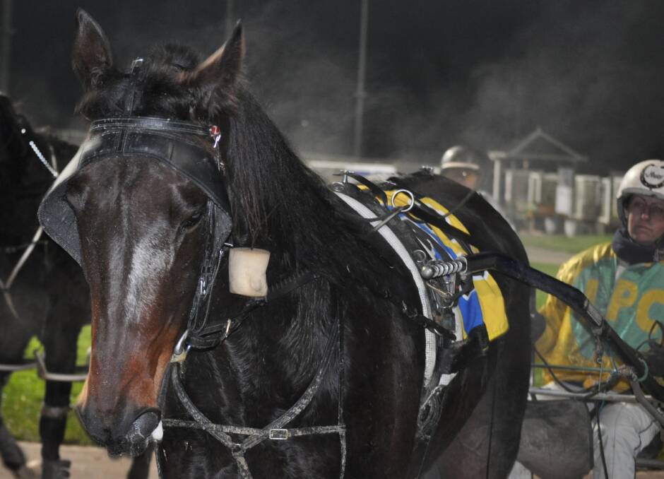 LONGSHOT WINNER: Capture Me and driver Natalee Emery surprised punters, yet again, at Mowbray on Sunday night.