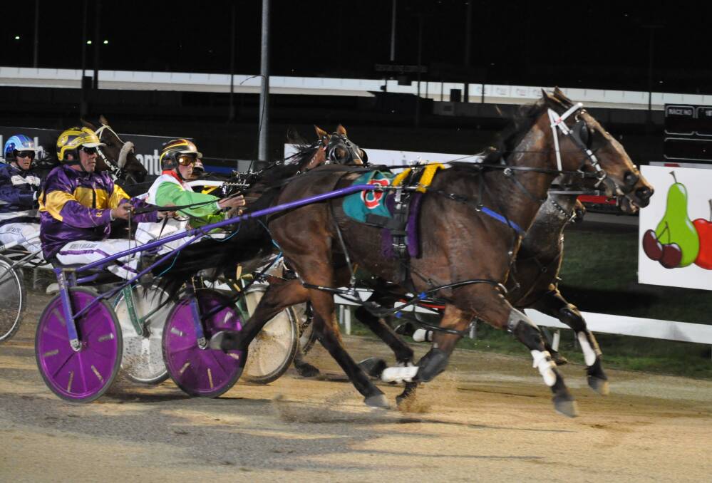 BARNSTORMING: Im Barney Rubble, driven by Rohan Hillier, storms home to win the Show Cup at Mowbray on Sunday night. Picture: Greg Mansfield