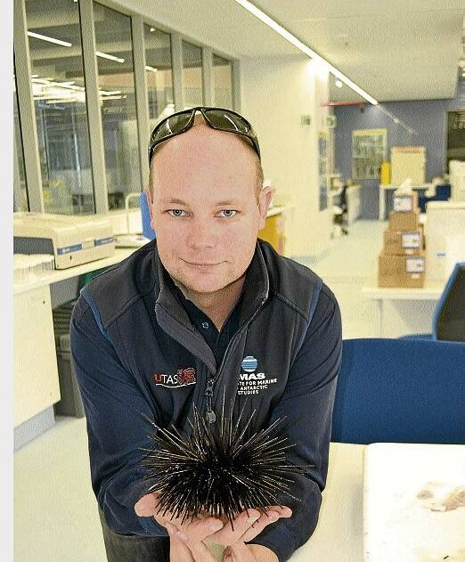 Dr John Keane, of the Institute of Marine and Antarctic Studies, who will lead a sea urchin study.