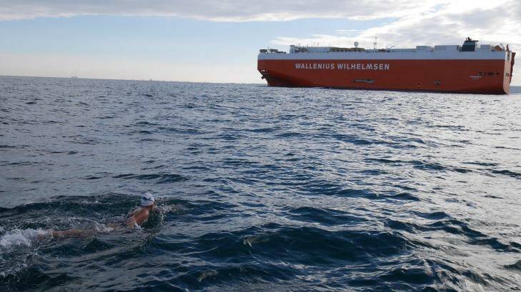 Chloe McCardel swims the English Channel for the 19th time earlier last week. Photo: Nick Miller