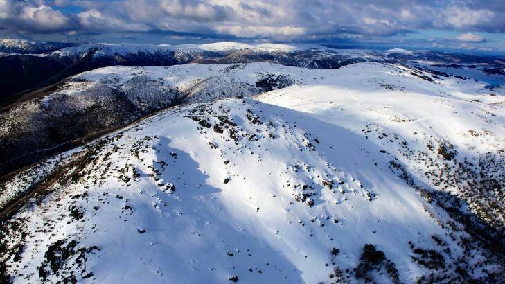 Mount McKay and the backcountry at Falls Creek. Photo: Chris Hocking
