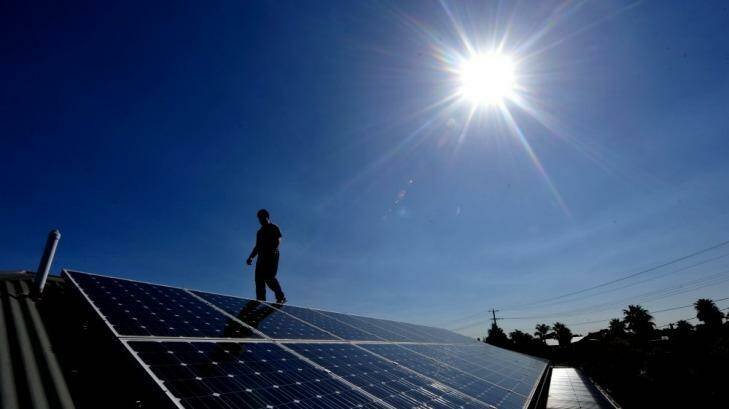 Potential threat to electricity: Solar panels will decrease the demand for electricity. Photo: Justin McManus