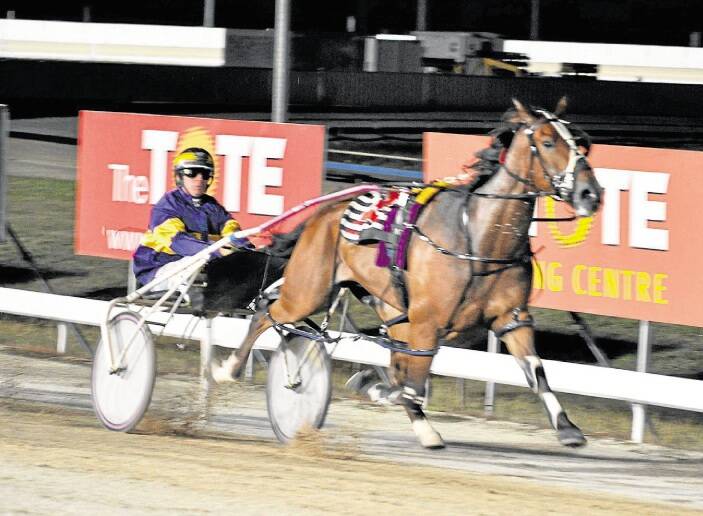Rule Like A King, driven by Rohan Hillier, wins the second heat of the Easter Cup at Mowbray on Sunday night. Picture: Greg Mansfield