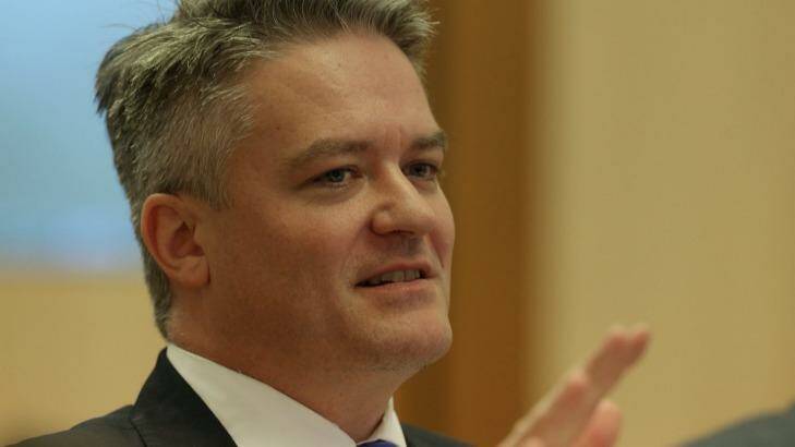 Senator Mathias Cormann denies he made any promise other than to do some thinking. Photo: Andrew Meares