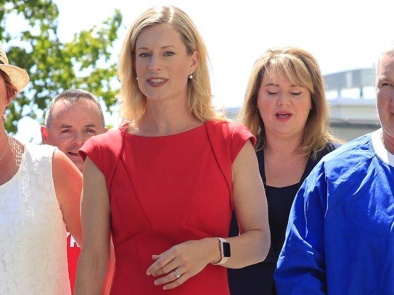 Labor's Rebecca White vows to make surgical abortions available in Tasmania's public health system.