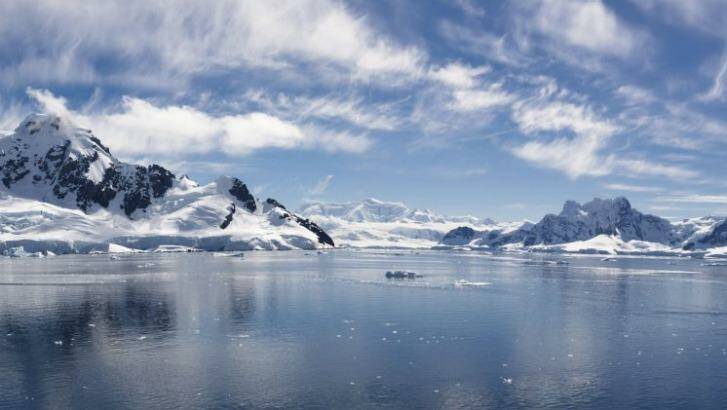 A cruise to Antarctica is now more affordable.  Photo: iStock