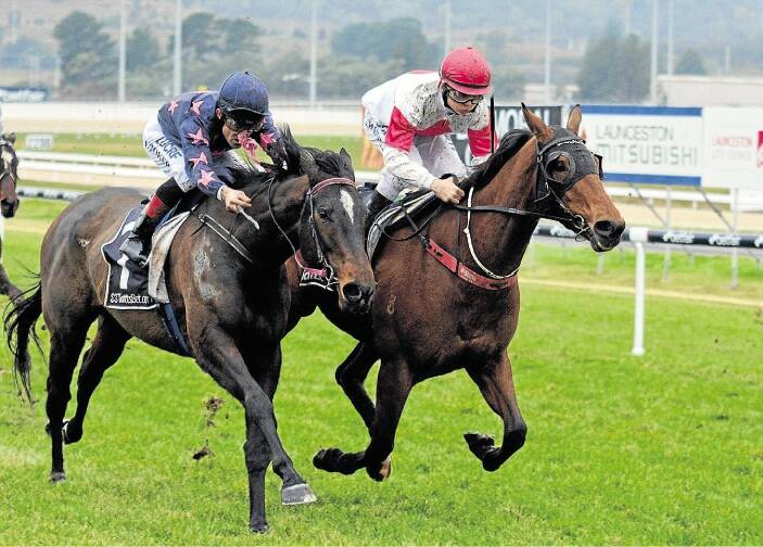 Bitter Dan, ridden by Kyle Maskiell, on the inside, beats Lacey Azz at Mowbray yesterday.
Photo courtesy of Tasracing.
