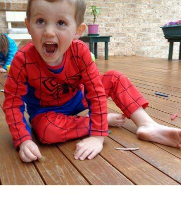 William Tyrell vanished from the front yard of his grandparent's house in Kendall and was last seen wearing a Spider-Man suit. Photo: Supplied by Police