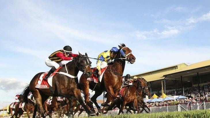 Lone hope: Temple of Boom (left) goes down in a photo finish in last year's Stradbroke Handicap. Photo: Tertius Pickard