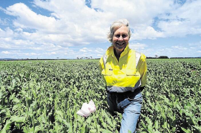 Nile farmer Anne Taylor checks the progress of her poppy crop. Picture: PETER SANDERS