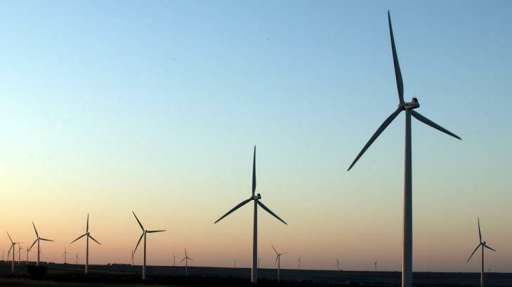A Senate inquiry into wind farms has attracted a host of grassroots objectors to the technology.  Photo: Erin Jonasson