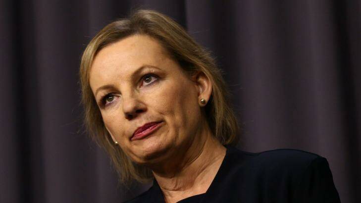 Health Minister Sussan Ley's department has told the centres that the program will be discontinued. Photo: Andrew Meares