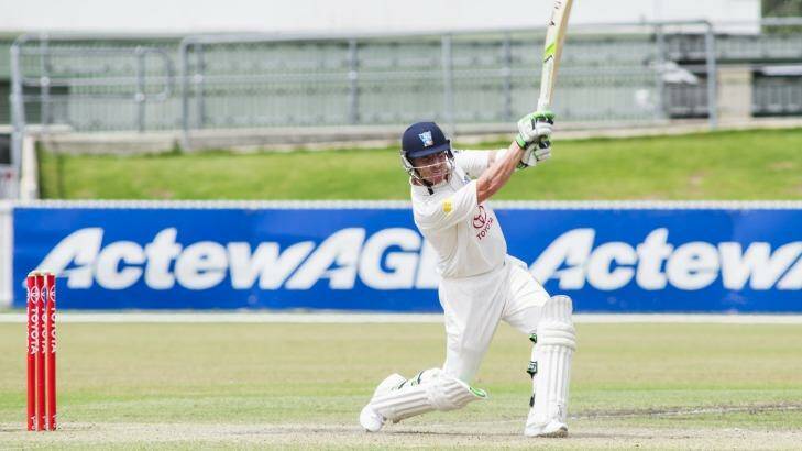 Brad Haddin on his way to a century for the ACT Comets in November. Photo: Rohan Thomson