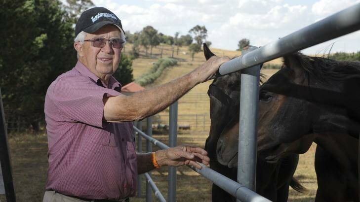 Racehorse breeder Bernie Howlett has bred one of the world's best sprinters on his Hall property. Photo: Graham Tidy