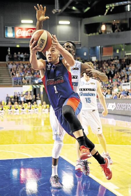 Adelaide 36er Adam Gibson, originally from Tasmania, is the NBL player of the week. Picture: GETTY IMAGES