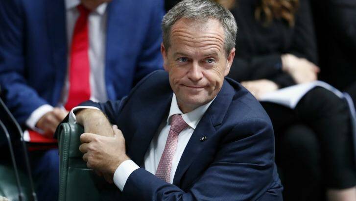 Opposition Leader Bill Shorten faces growing accusations that he is a populist driven by his left wing. Photo: Alex Ellinghausen