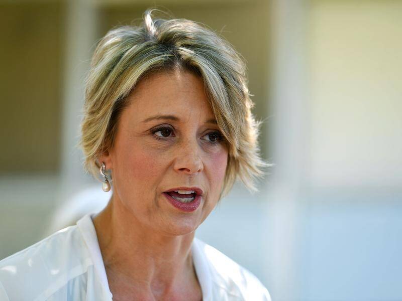 Kristina Keneally has been formally elected a federal senator during a sitting of the NSW parliament