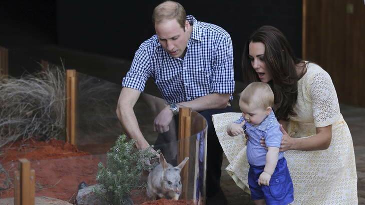 Will and Kate introduce George to a Bilby. Photo: Kate Geraghty
