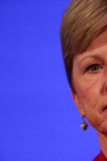 Direct Action offer: Greens Leader Senator Christine Milne at the National Press Club in Canberra.  Photo: Andrew Meares
