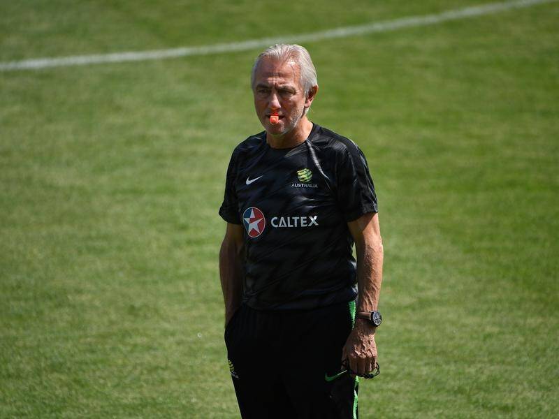 Australia's coach Bert van Marwijk during a Socceroos training session.