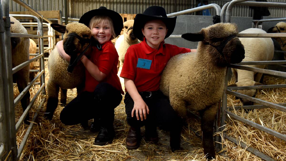 Junior sheep handlers Leah Beamish and Emma Jones, of Yolla District High School, with their charges at the Longford Show. Picture: NEIL RICHARDSON