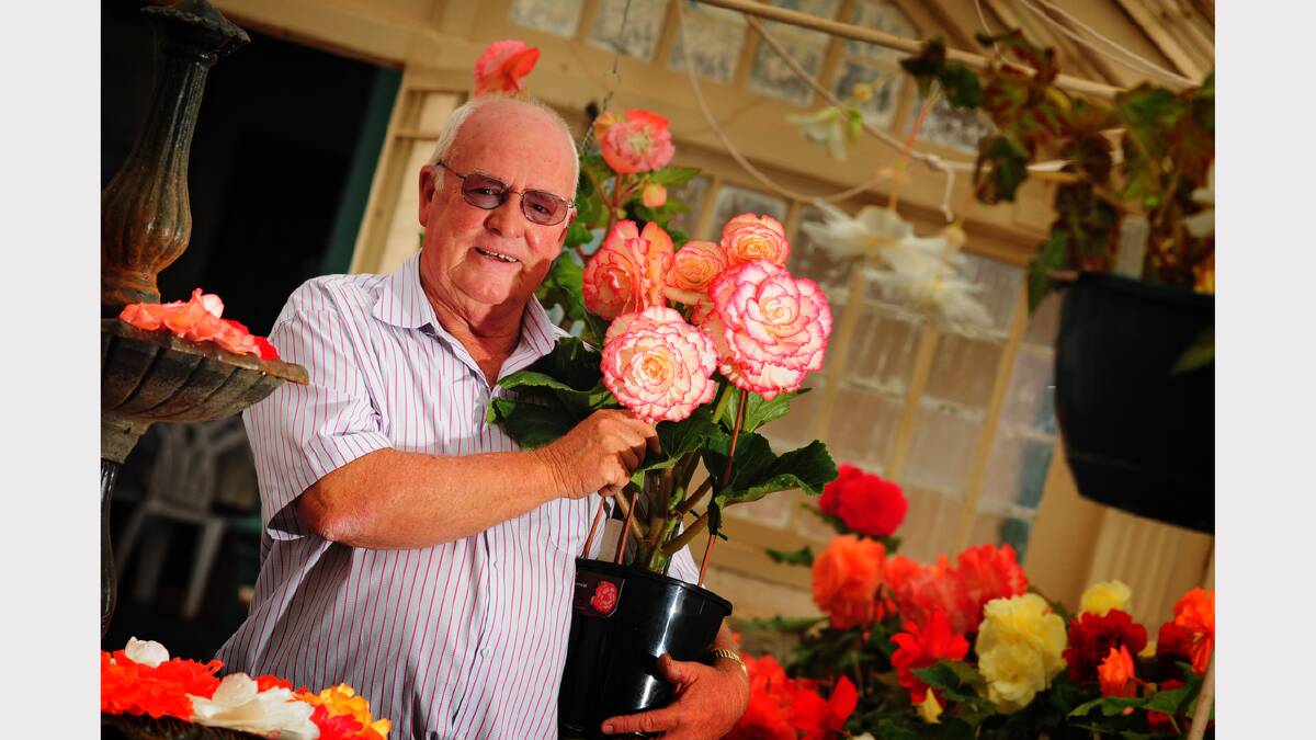 Peter Bugg shows off a tuberous begonia he bred himself.