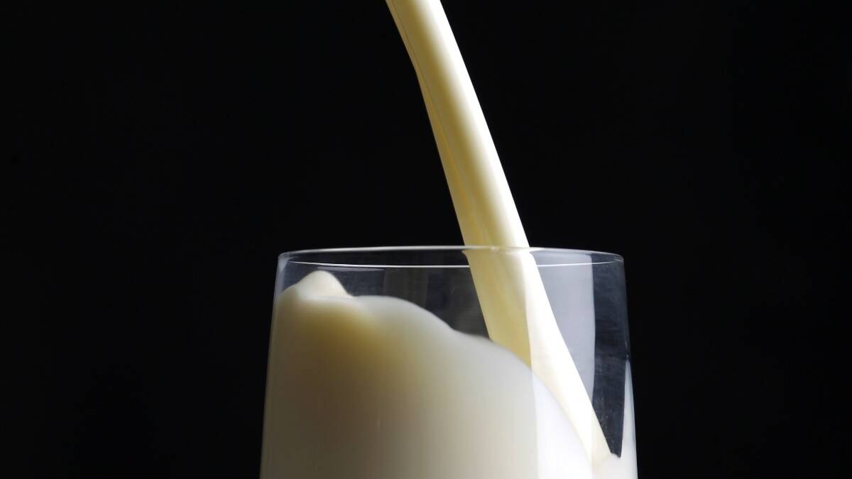Tassie milk yield making a splash
