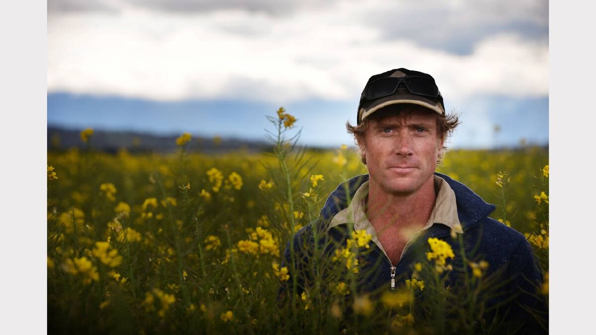 Nile canola grower Michael Chilvers is hopeful 2015 will produce better results for his crop, despite a drop in the international price.