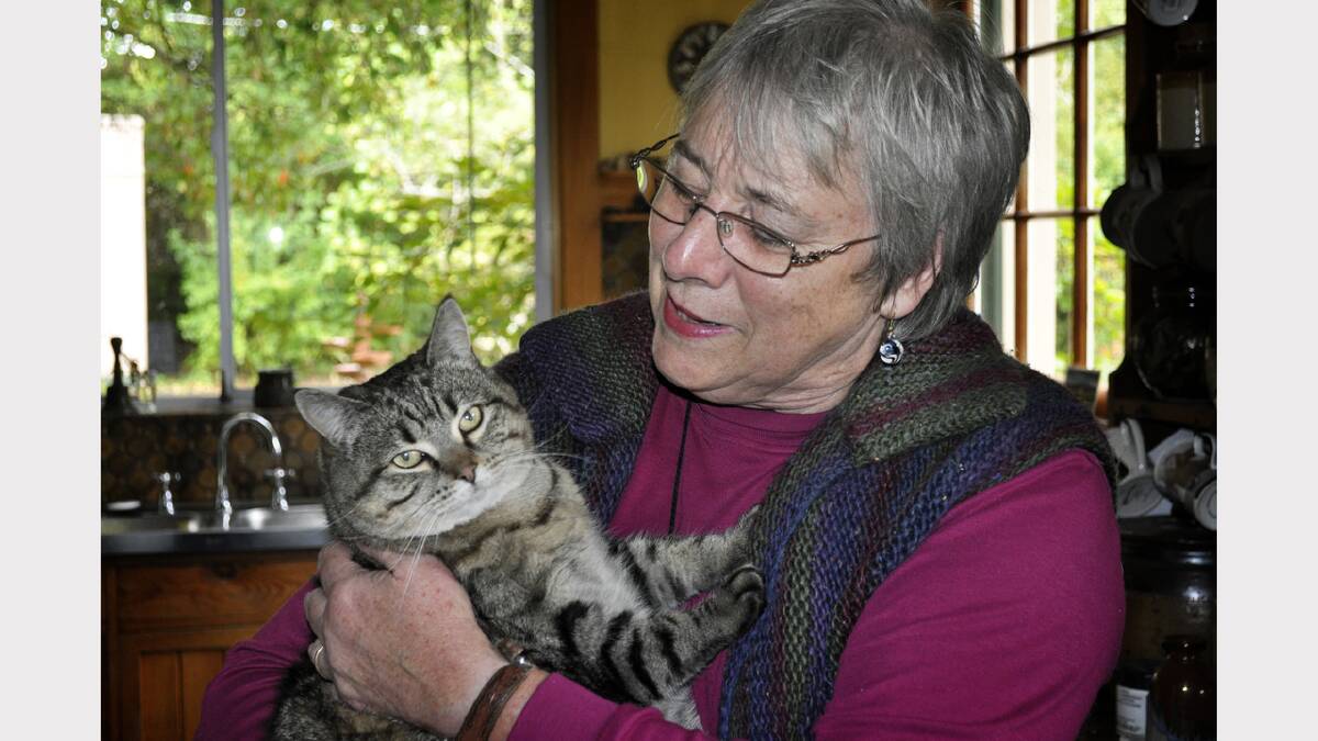 Evandale's Gill Waddle with her cat Muffin . . . Mrs Waddle does not oppose mandatory licensing for cat owners.