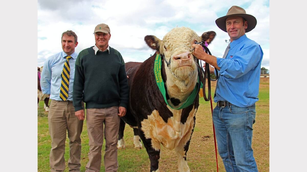 Buyers Tim Woodham, of Roberts Ltd, Tasmania, Bruce Archer, of Chester Poll Herefords, Westwood, and vendor Lachy Day, of Days Whiteface, Bordertown, South Australia, with the $24,000 bull, Days Patrick H37. Picture: KIM WOODS