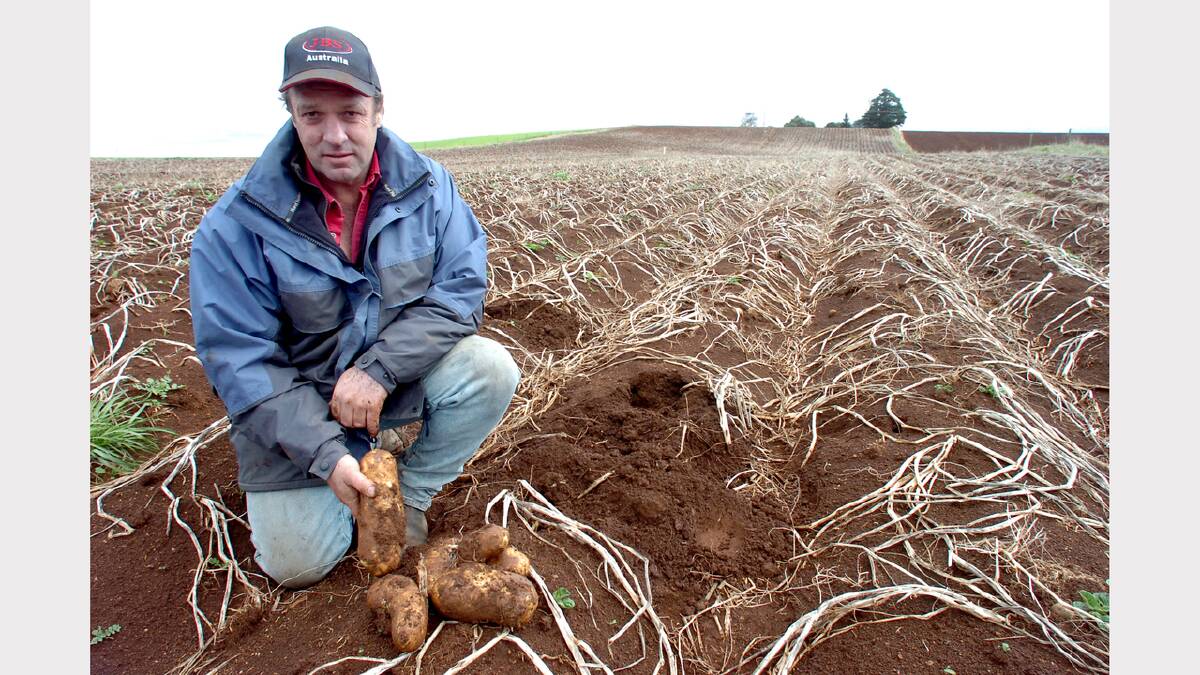 Scottsdale potato farmer Trevor Hall is expecting another good season this year, despite dry conditions. Picture: PETER SANDERS